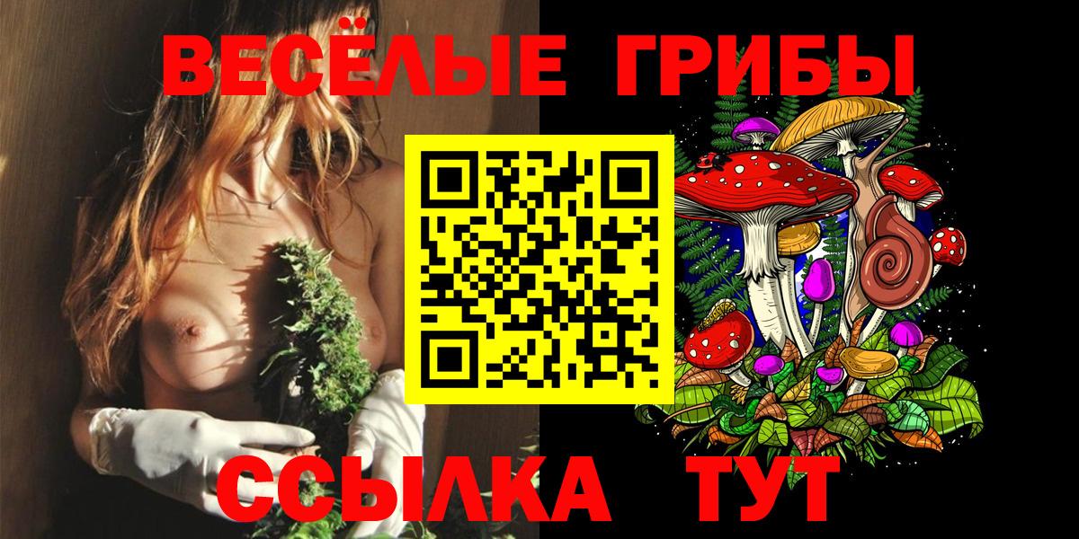 Галлюциногенные грибы мухоморы  Вход с VPN  Михайловск 