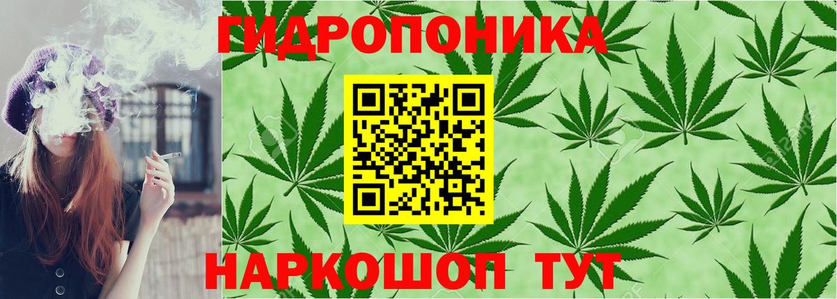 Михайловск  Конопля тримм  Шишки марихуана конопля  Бошки Шишки Bruce Banner  Вход с VPN 